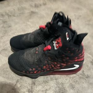 Nike Lebron James Basketball shoes